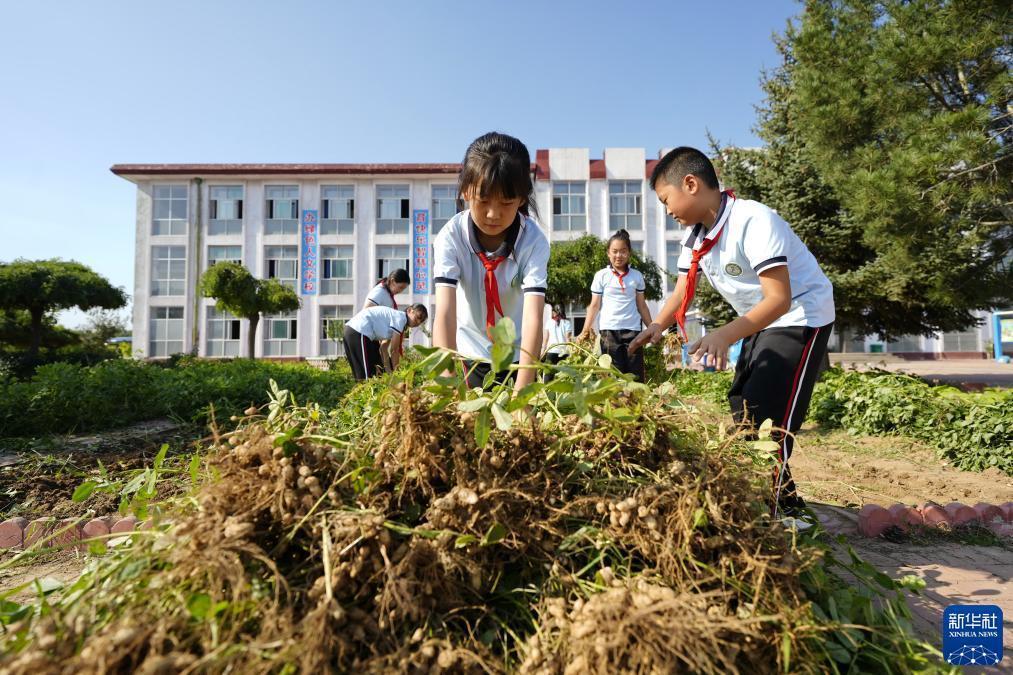 阳光开户送体验金10元